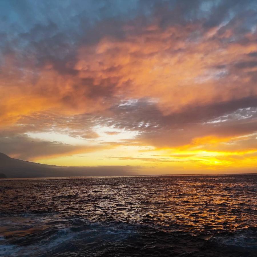 Tenerife Anahata Relax Vv Tacoronte Eksteriør billede